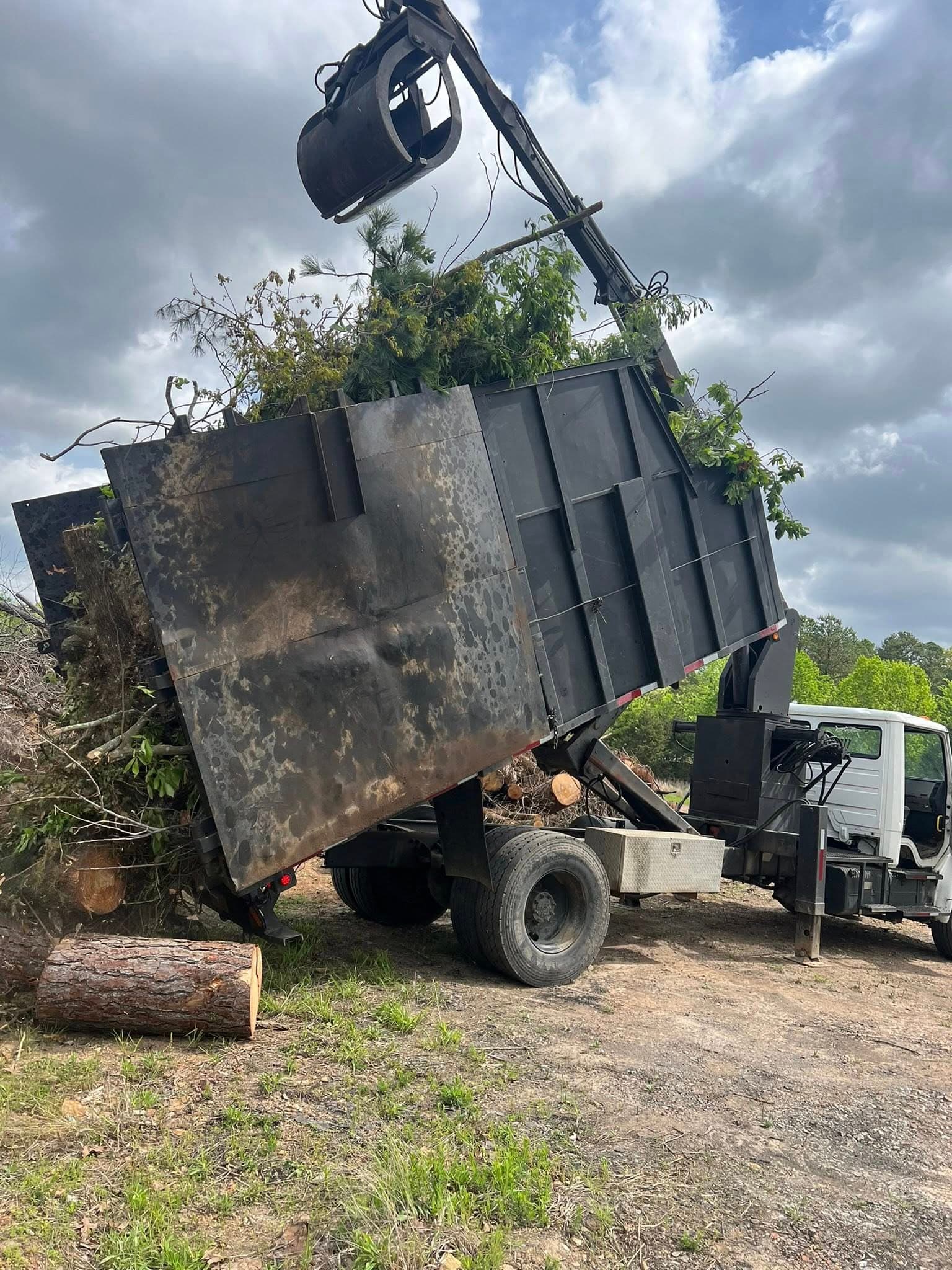 Tree Work & Removal work near Greers Ferry Arkansas