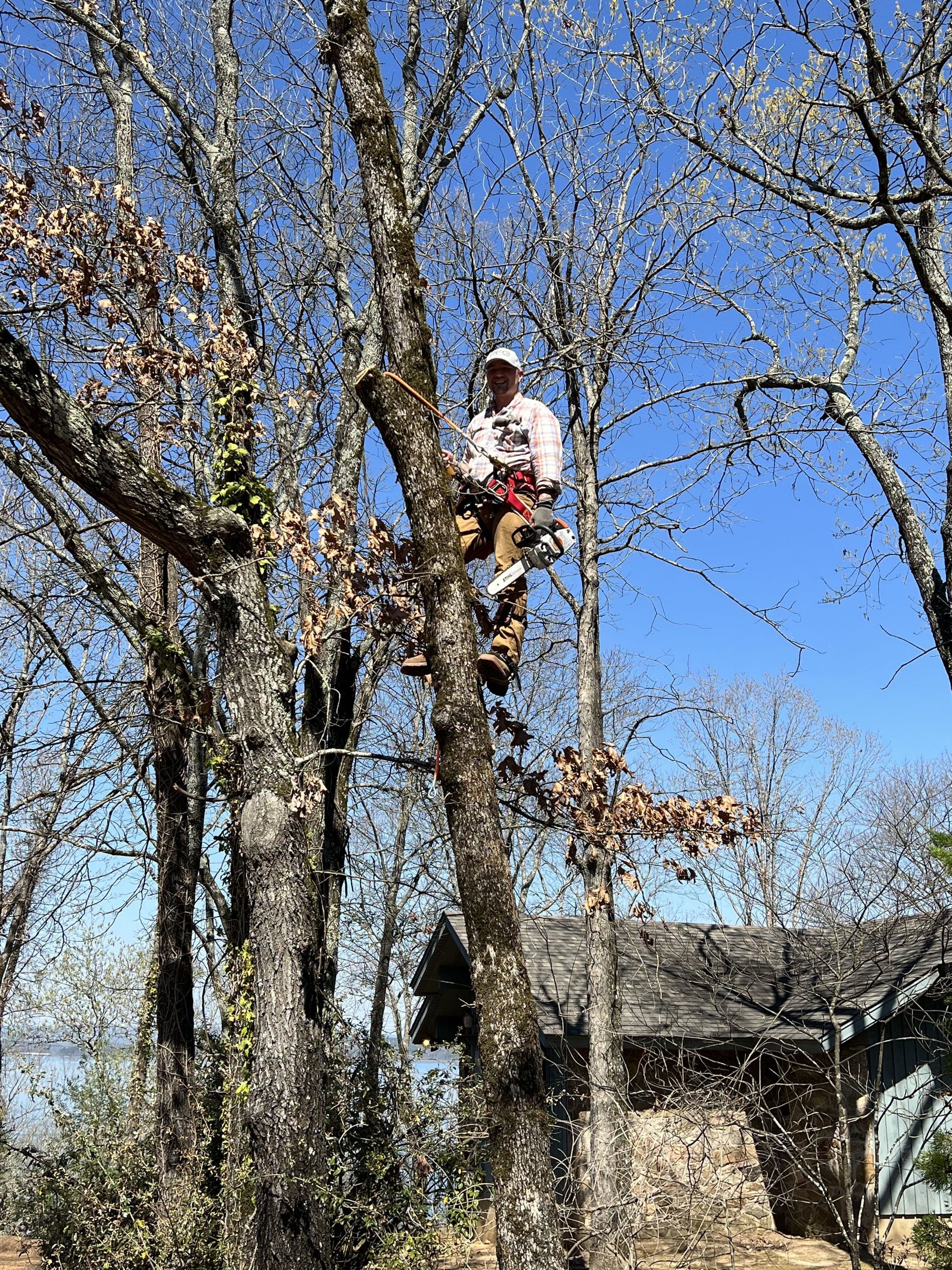 Tree Work & Removal project in Central Arkansas
