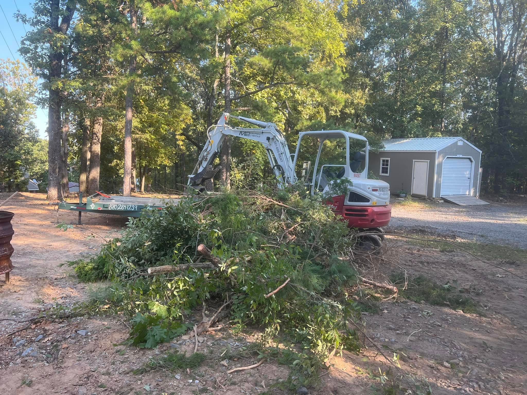 Tree Work & Removal project in Central Arkansas